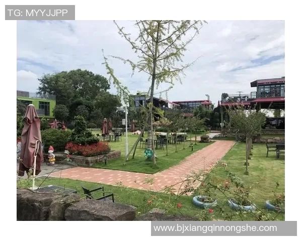 足球村物业助力社区发展打造温馨和谐的居住环境与文化氛围