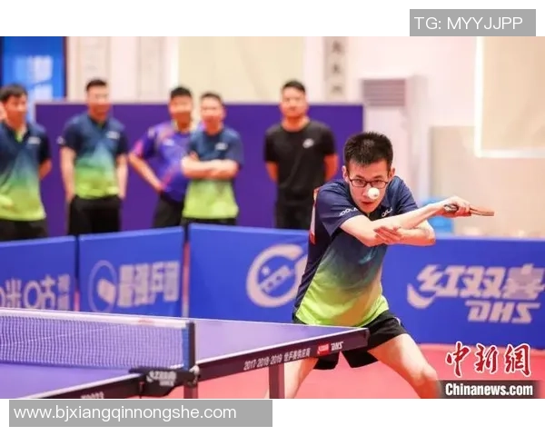 重庆乒乓球队心理素质创新高引关注助力运动员全面发展与竞技水平提升